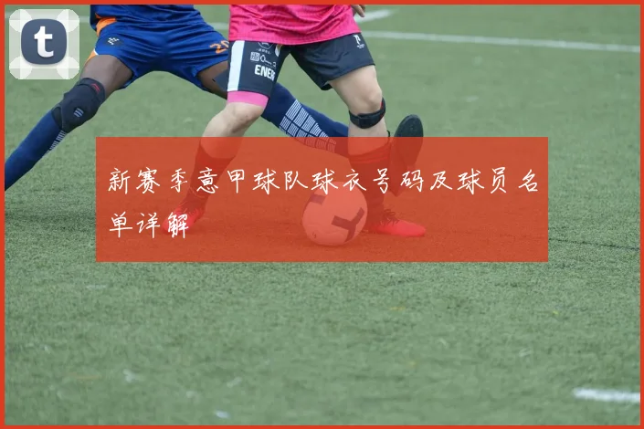 新赛季意甲球队球衣号码及球员名单详解