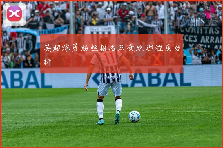 英超球员粉丝排名及受欢迎程度分析